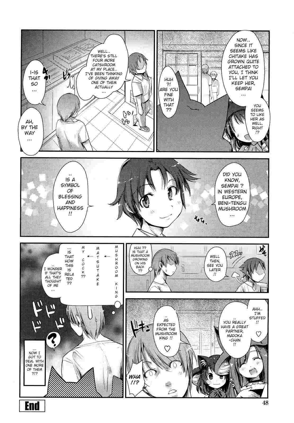 Nekokino To Ame No Machi 1