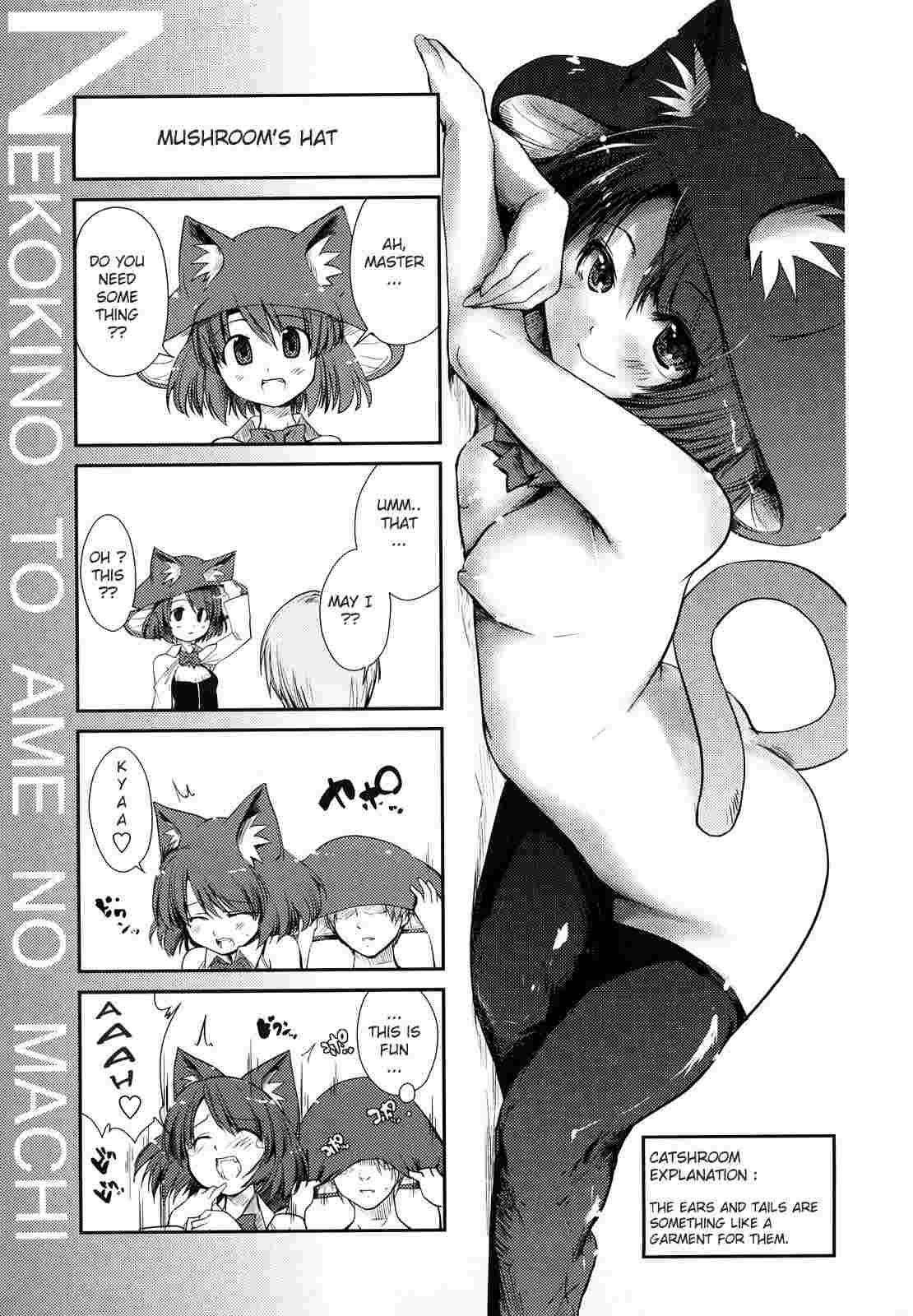 Nekokino To Ame No Machi 1