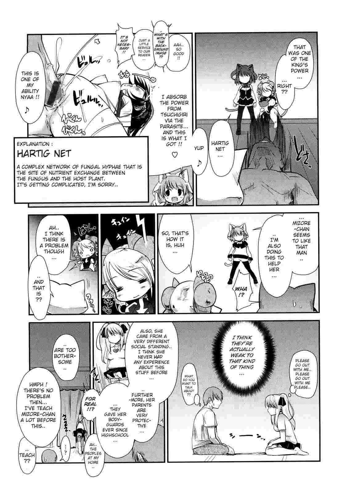 Nekokino To Ame No Machi 1