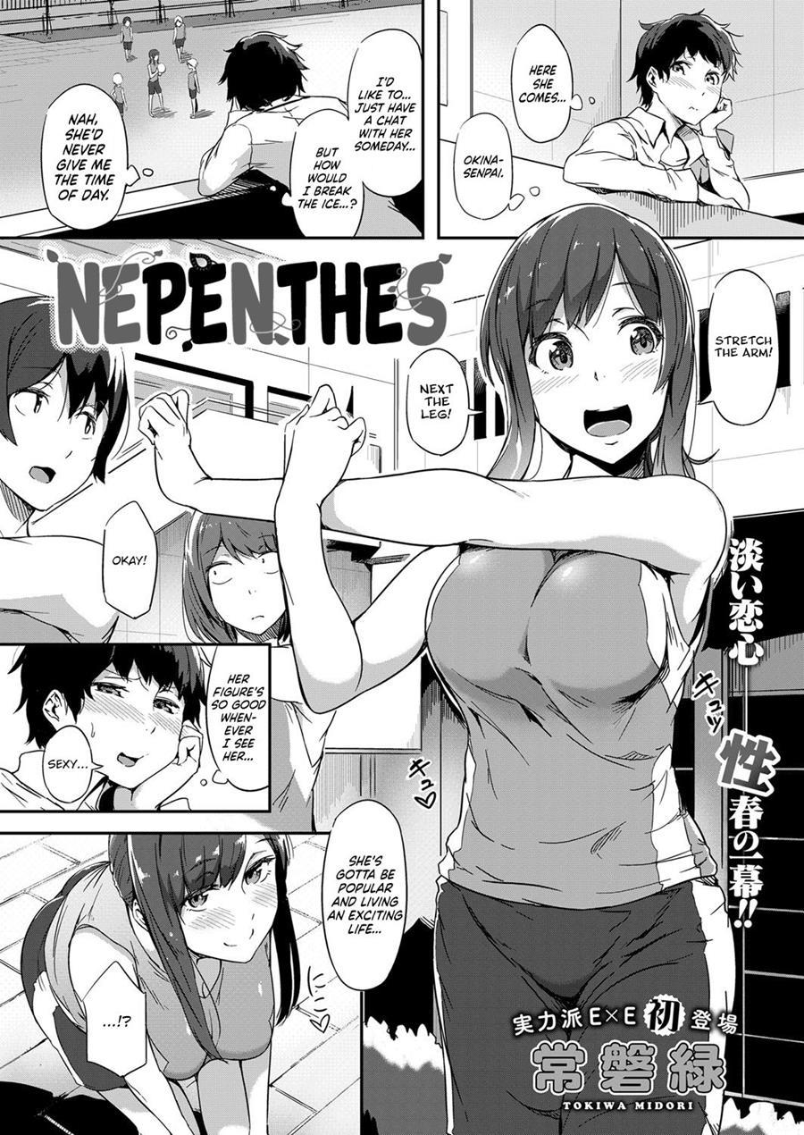 Nepenthes 1