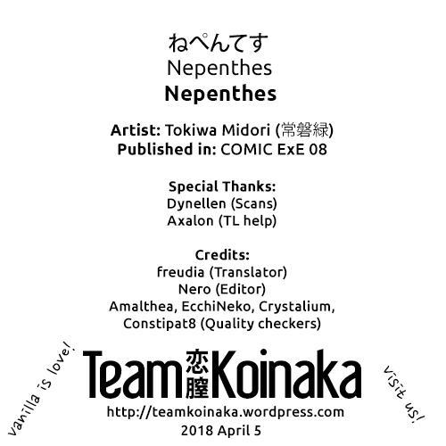 Nepenthes 1