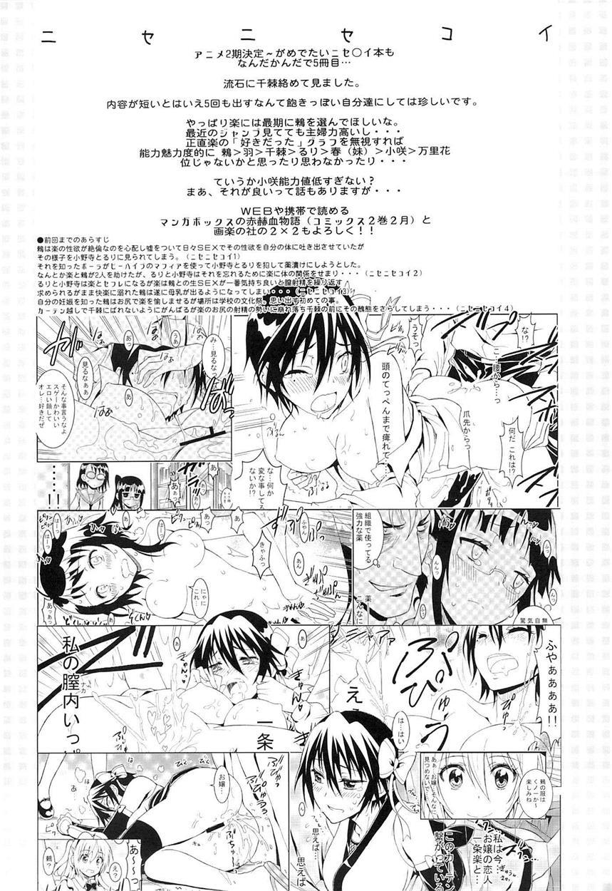 Nisenisekoi 5
