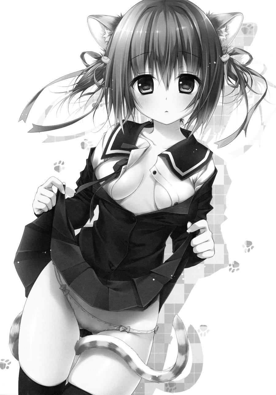 Nyancology 3