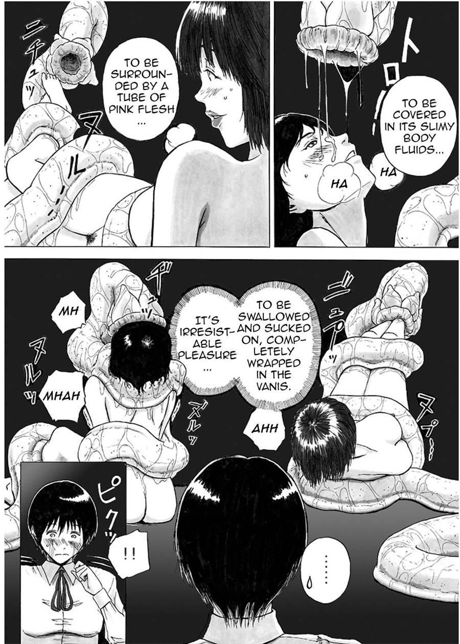 P045-02 Vanis Report 1