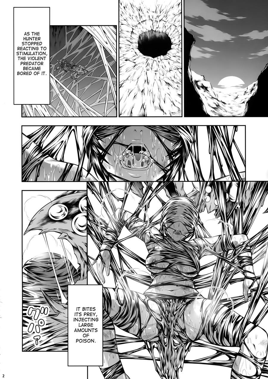 Pair Hunter No Seitai 3