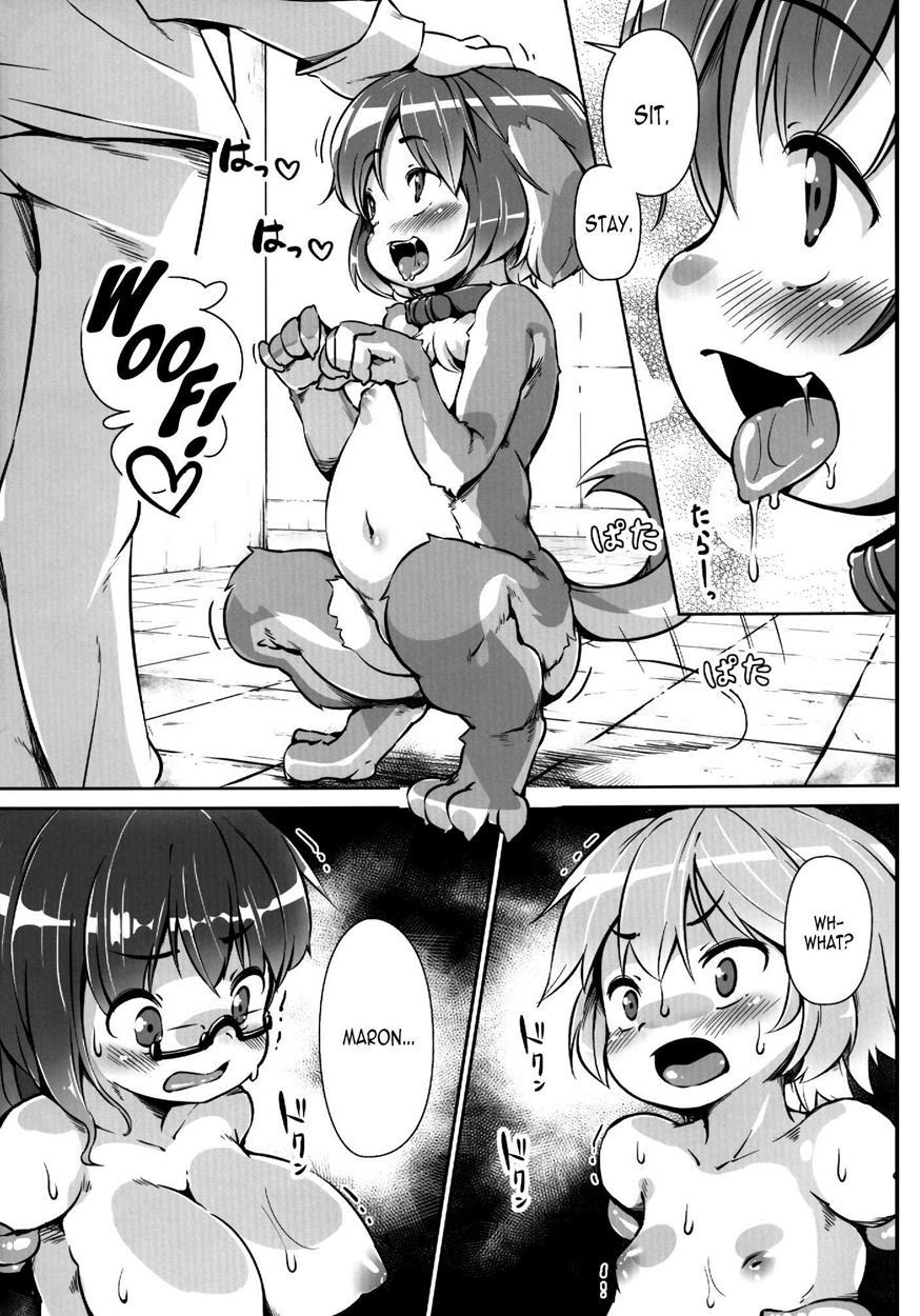 Pet Life After Fusion 2