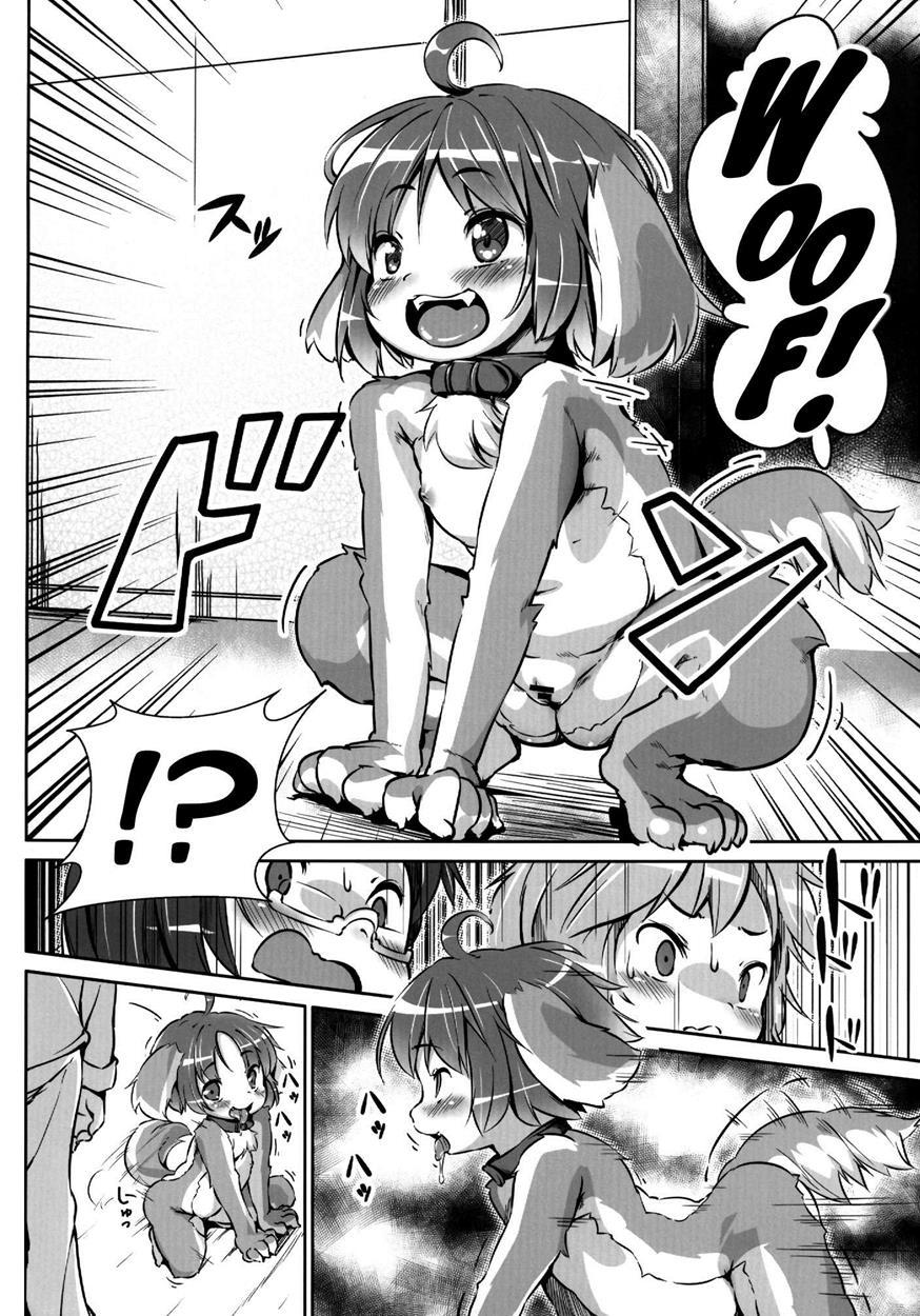 Pet Life After Fusion 2