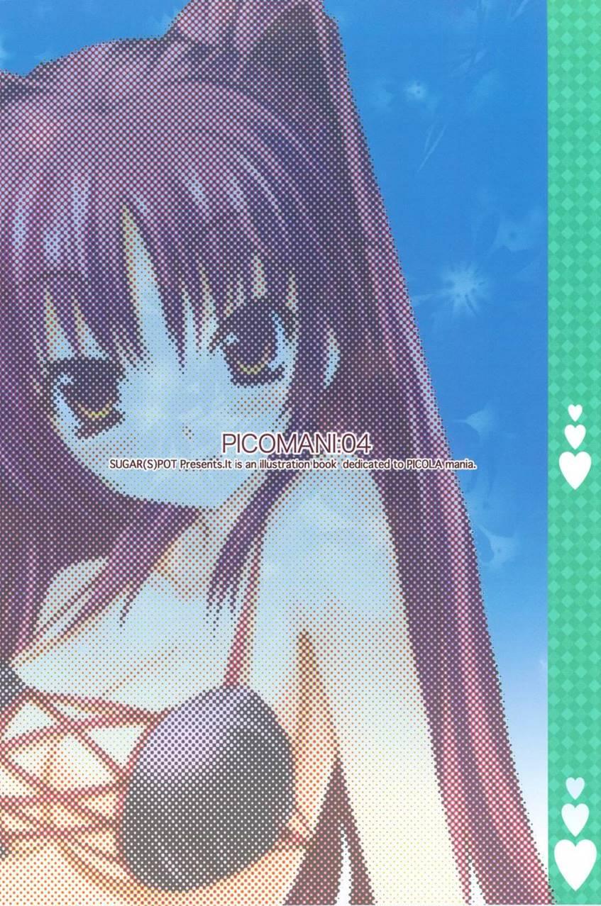 Picomani 4