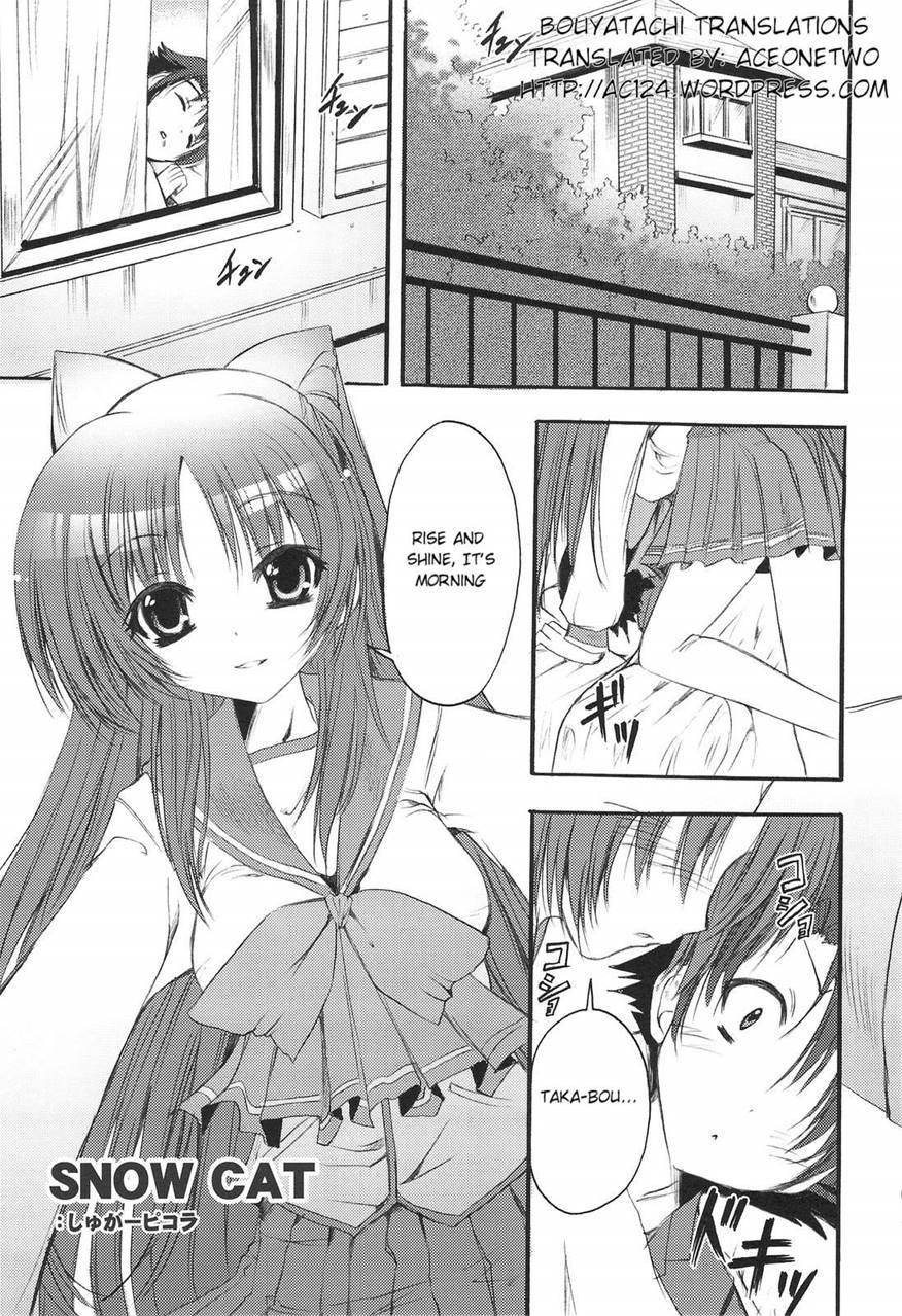 Picomani 4
