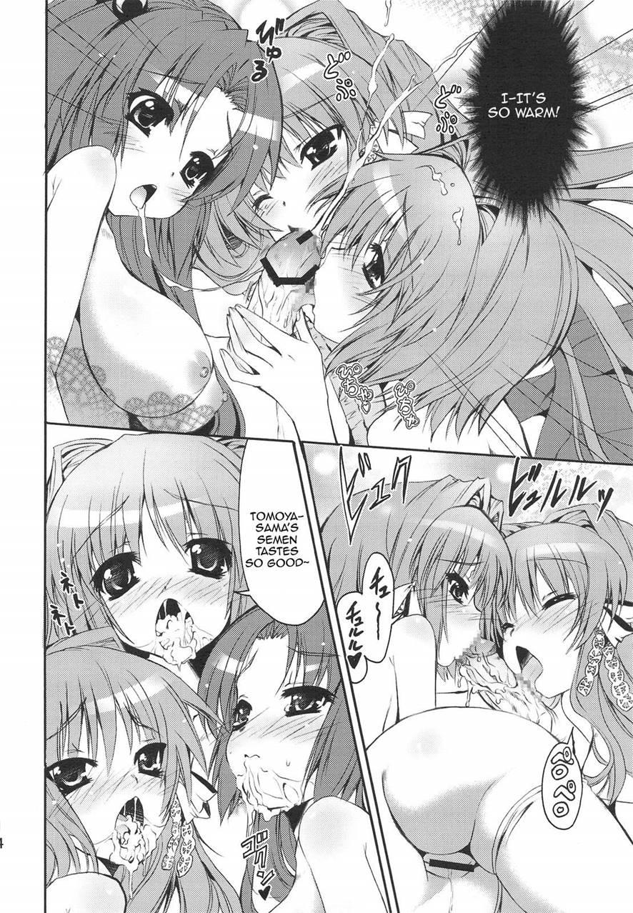 Picomani 5