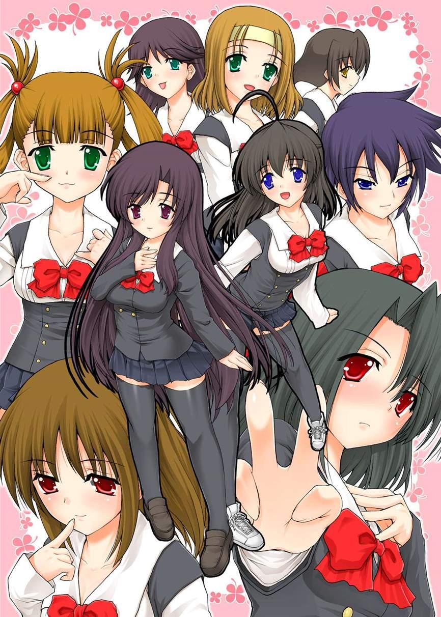 Pm Collection 15