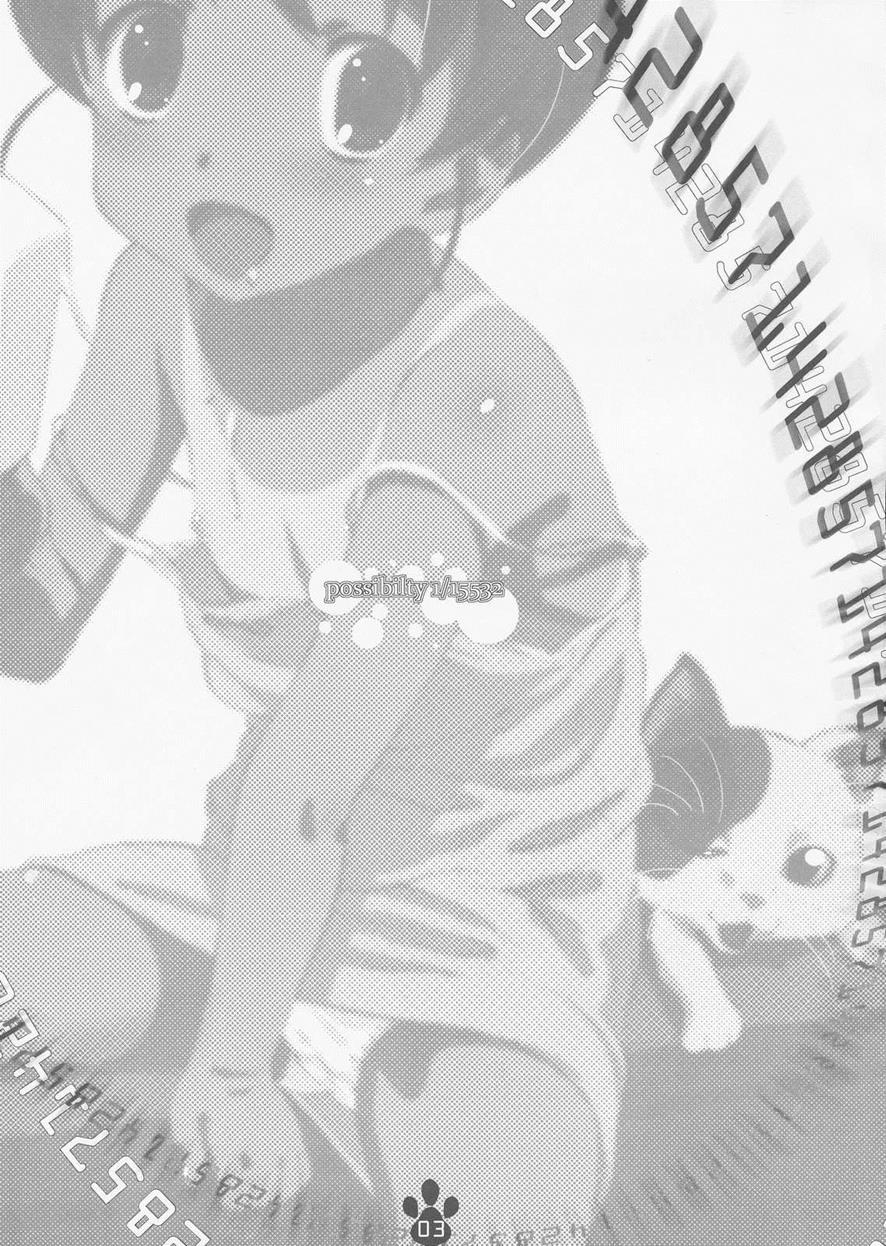 Possibility 1 15532 1