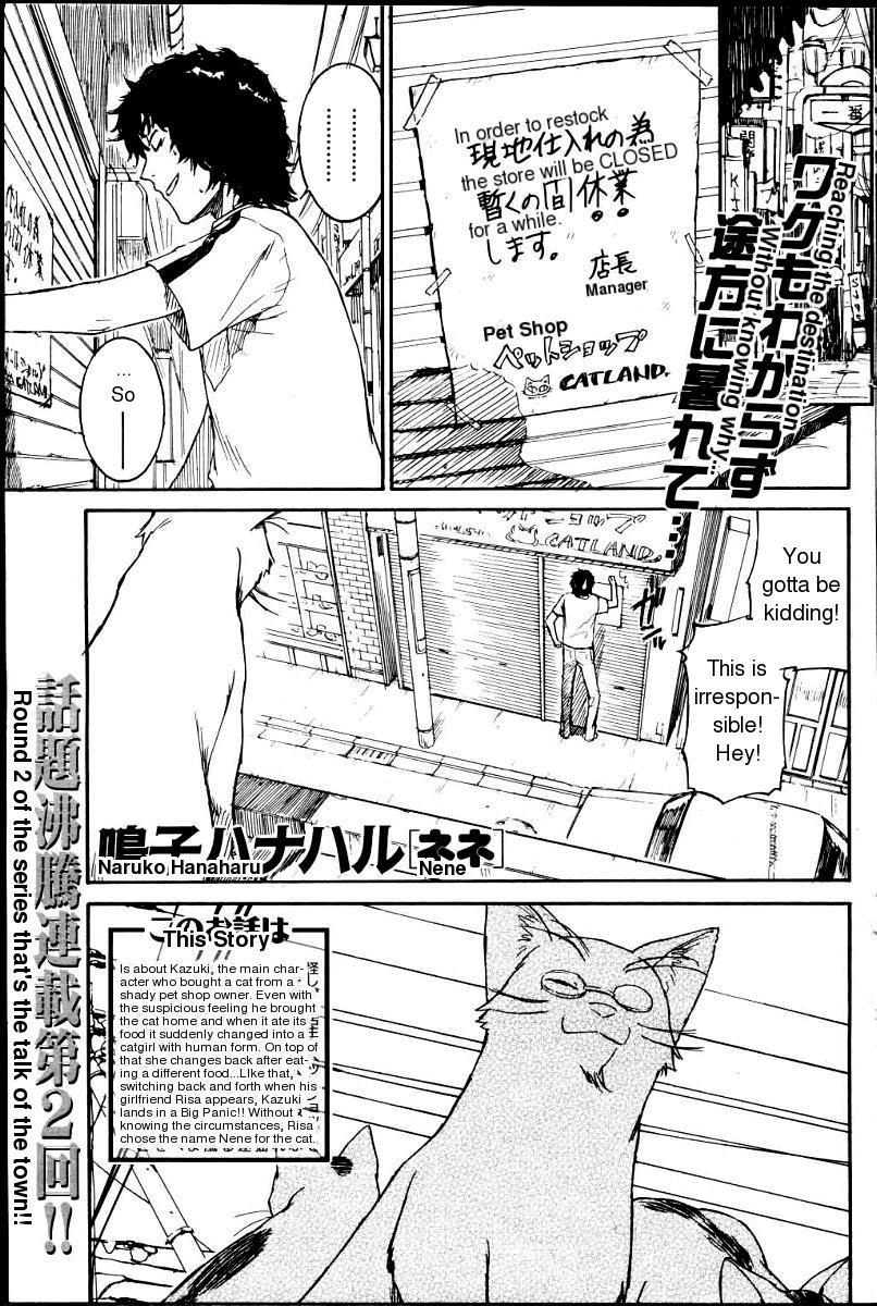 Pretty Cat! Nene 1