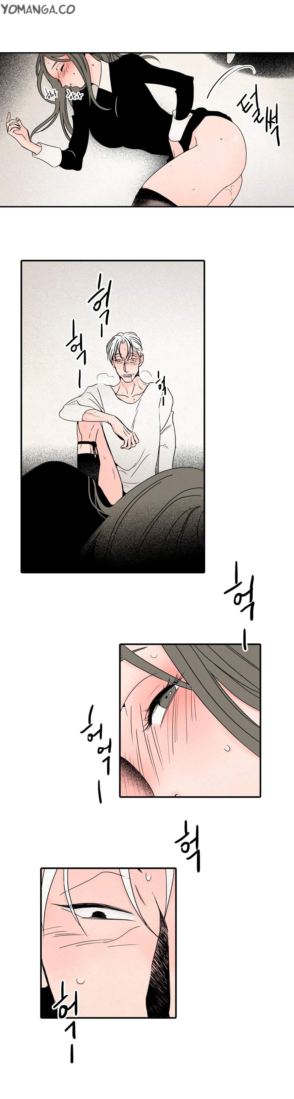 Rabbit Hole (korean) 1