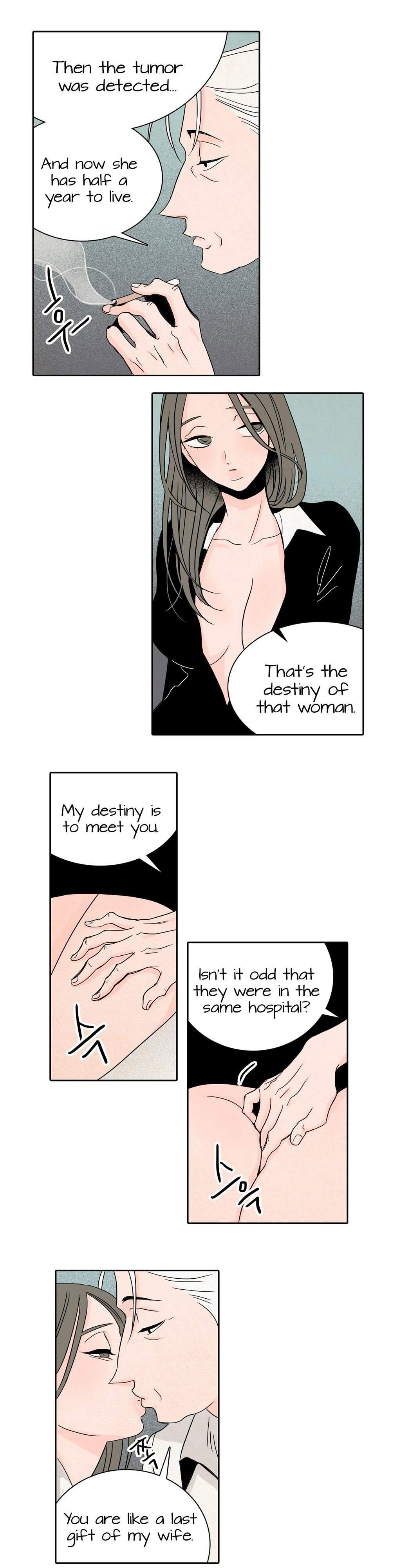 Rabbit Hole (korean) 2