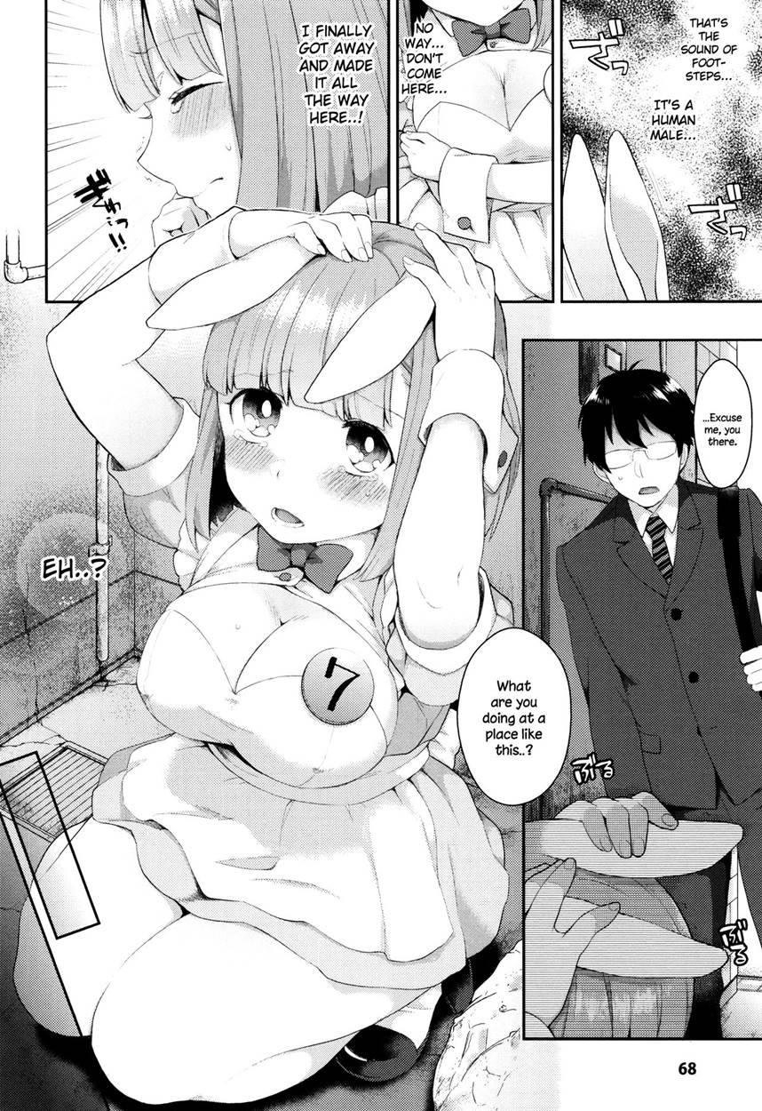 Rabbit Hole (majoccoid) 1