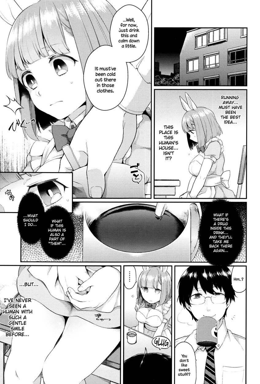 Rabbit Hole (majoccoid) 1