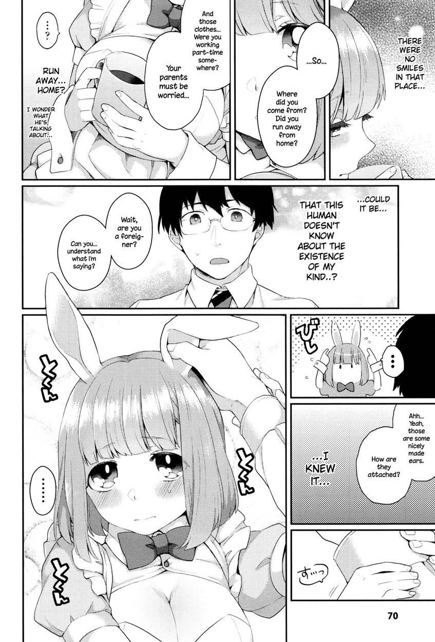Rabbit Hole (majoccoid) 1