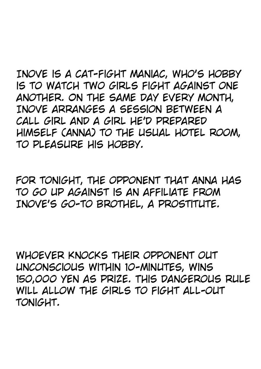 Realistic Account Of A Mixed Fight Report 1