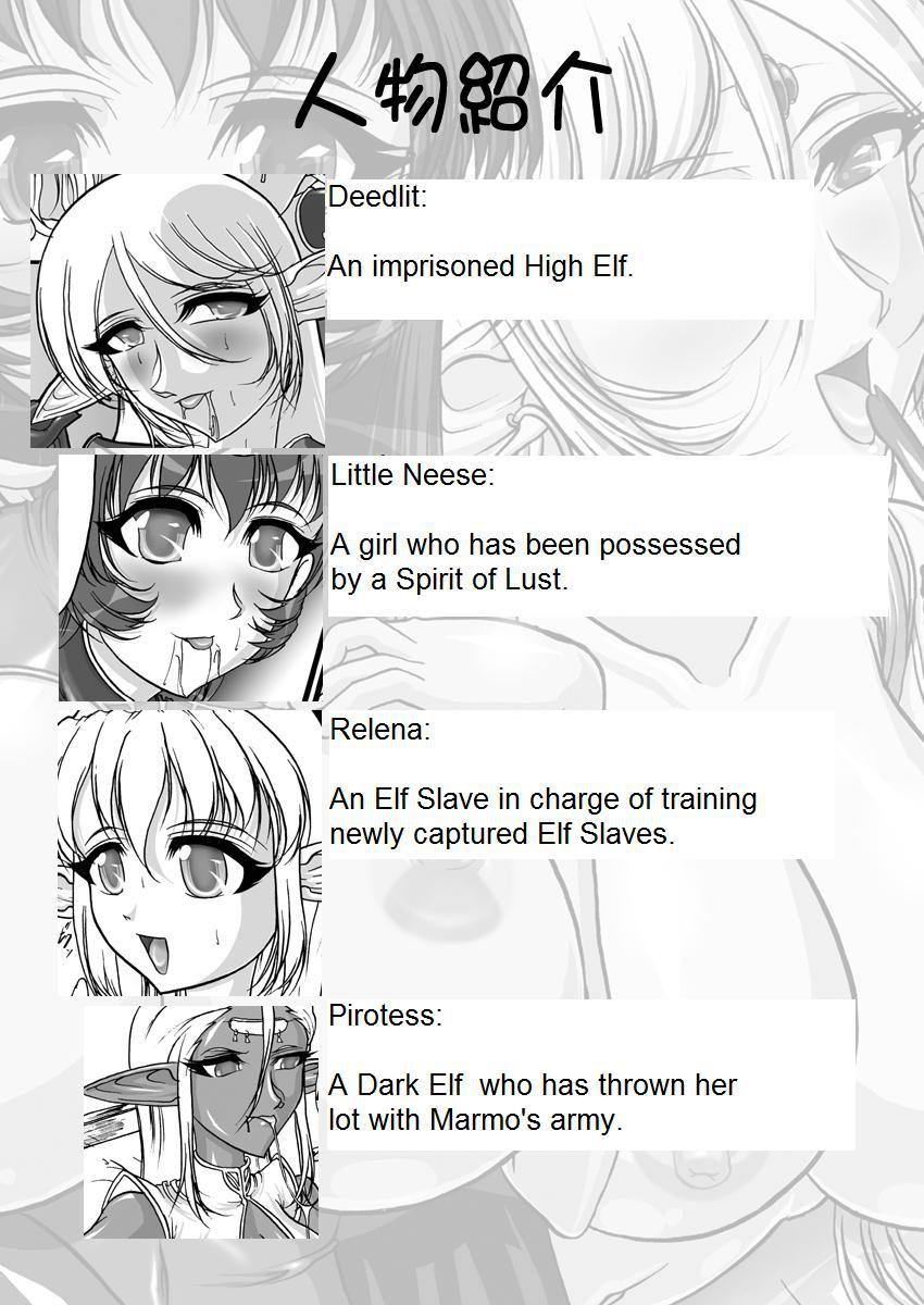 Record Of Lodoss War Dj - Record Of Slave Elf War 2