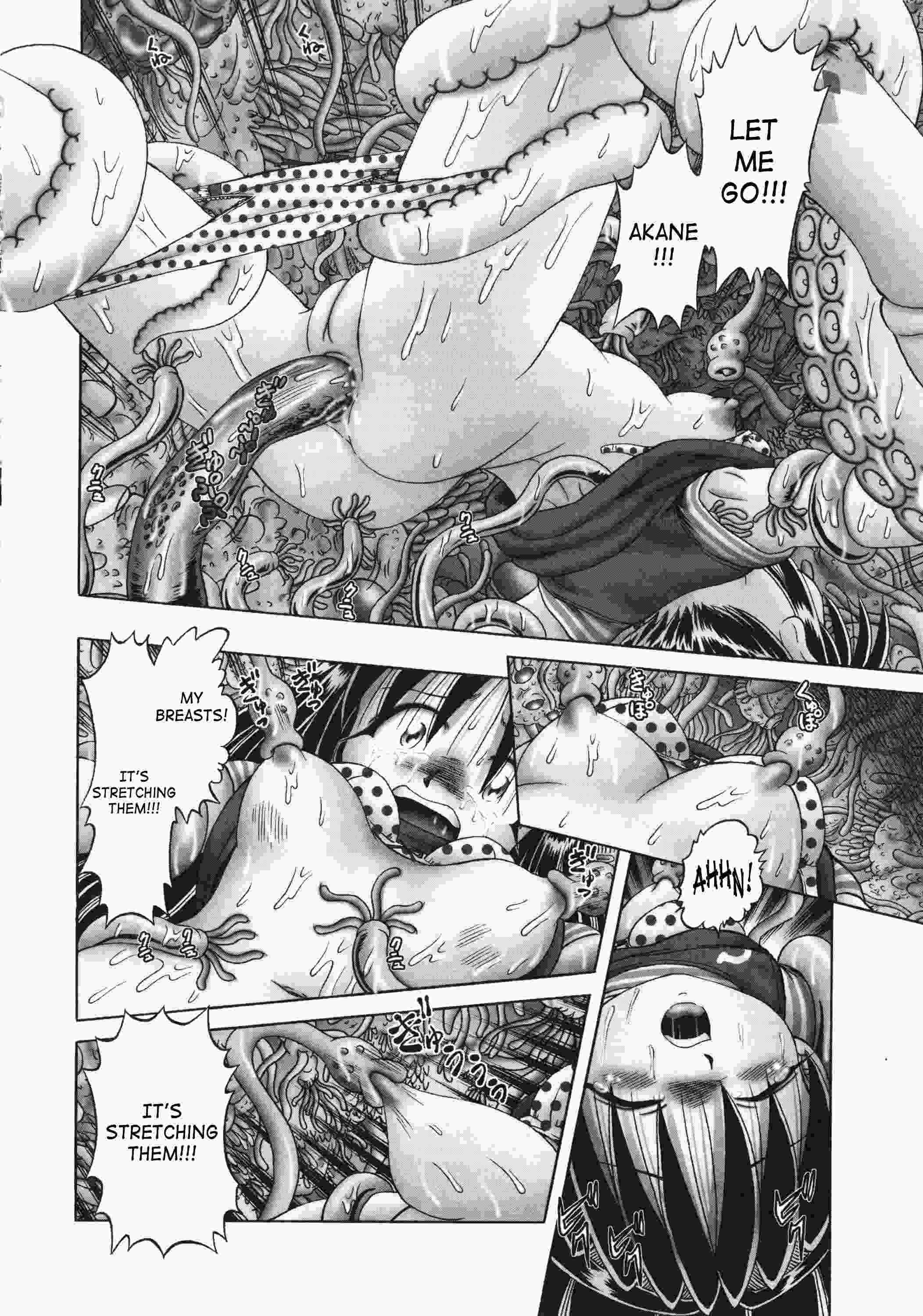Secret Flower Garden 2