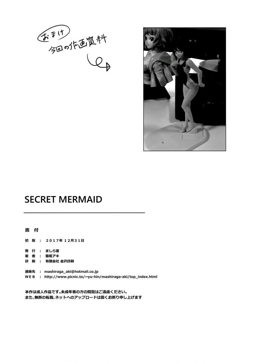 Secret Mermaid 1