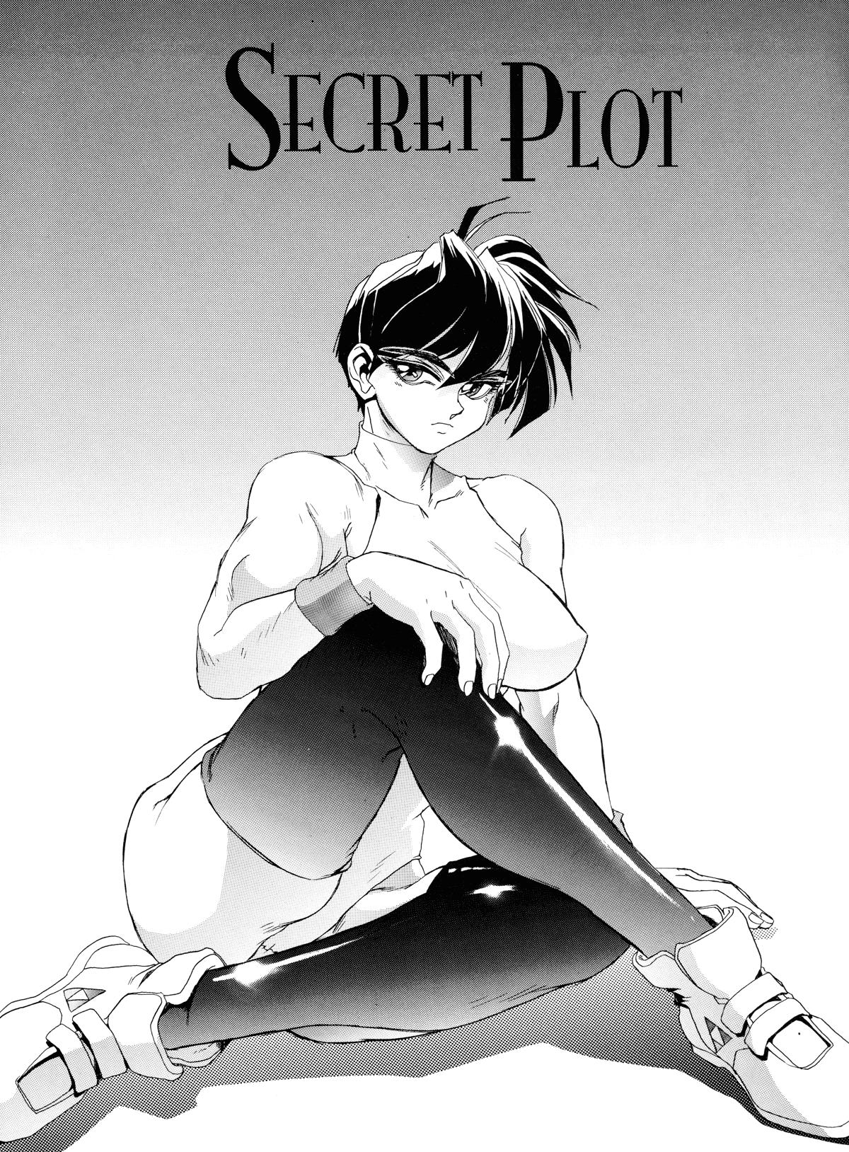 Secret Plot 1