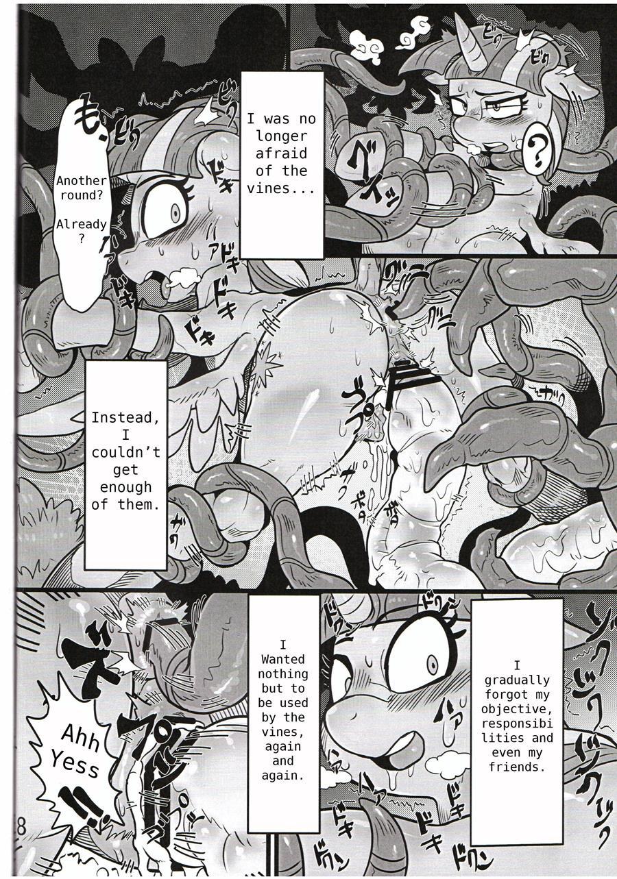Seedbed Of Friendship 1
