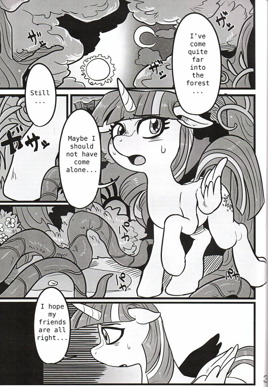 Seedbed Of Friendship 1