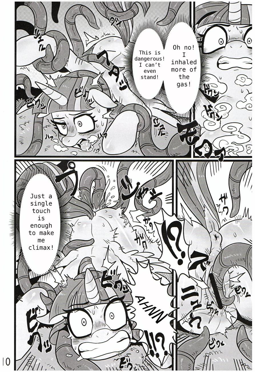 Seedbed Of Friendship 1