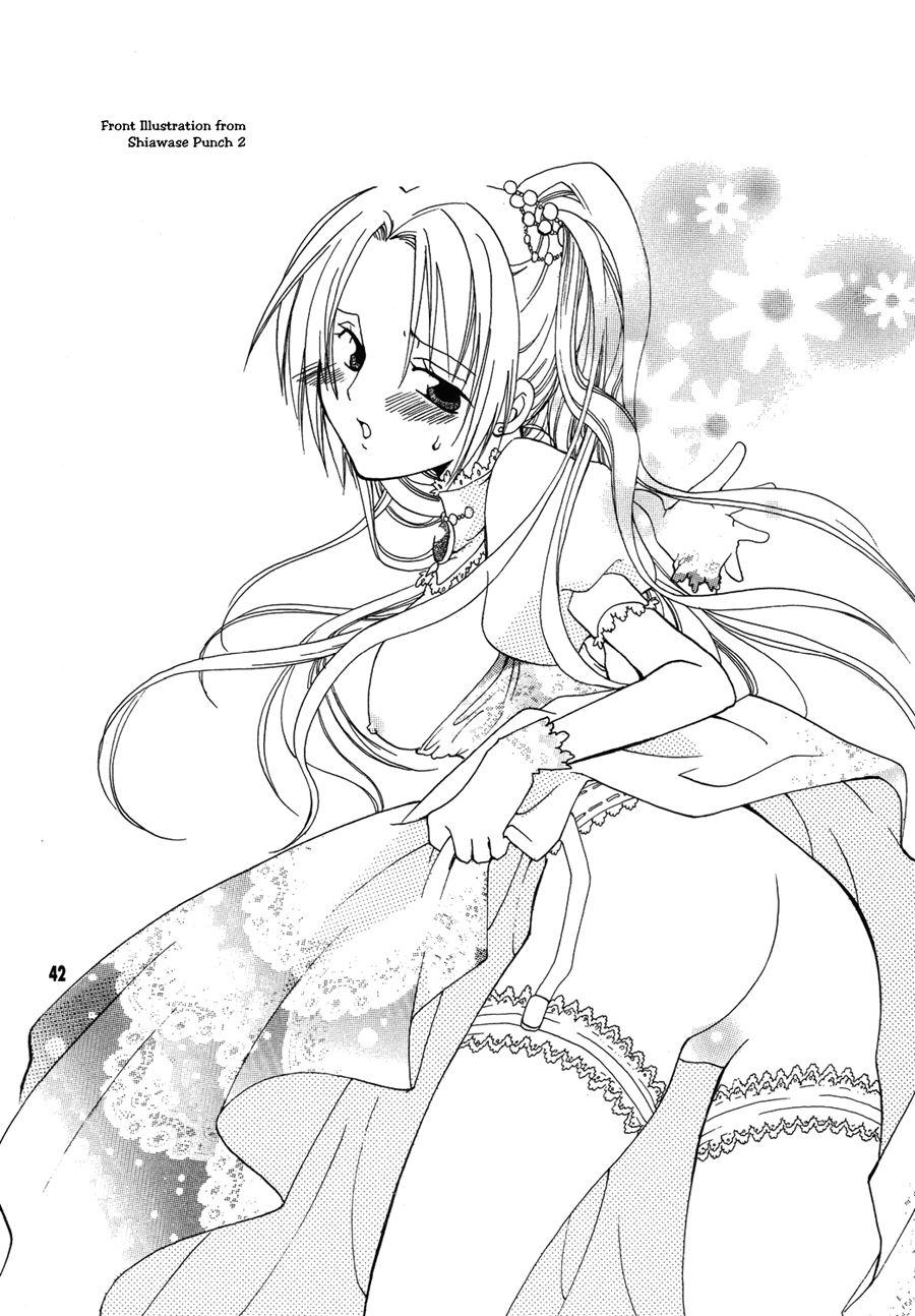 Shiawase Punch 2