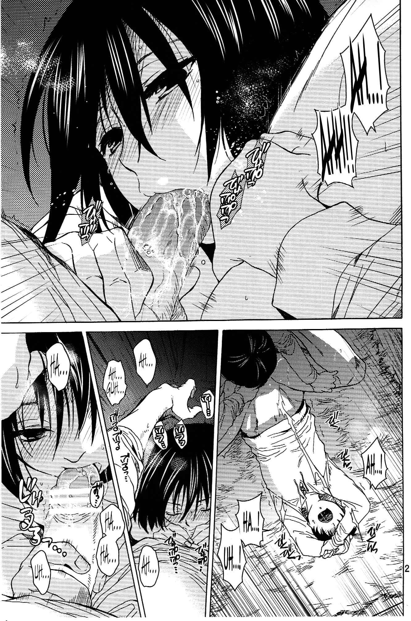 Shingeki No Kyojin Dj - Ere Mika 1