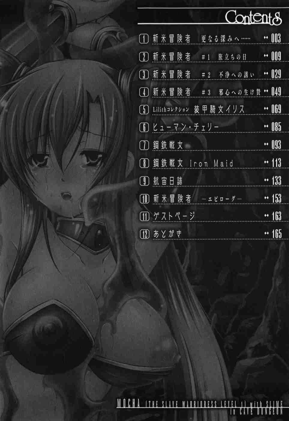 Shinmai Boukensha 1