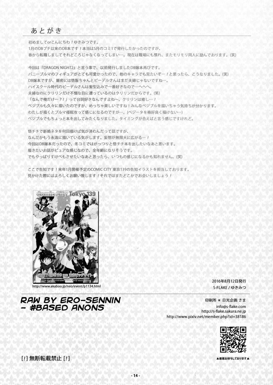 Shinmai Dragon Night 2