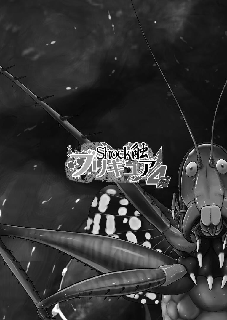 Shock Shoku Bregure 4