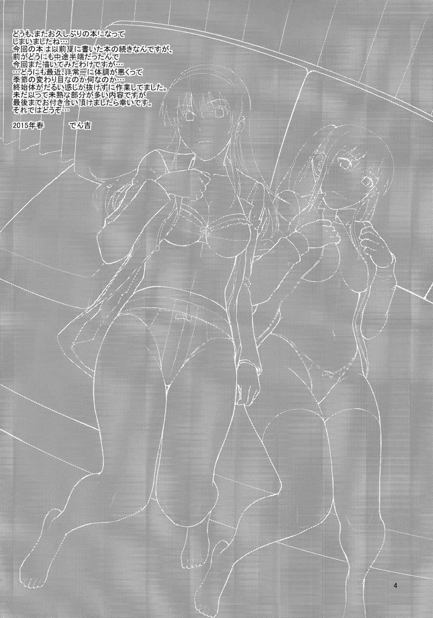 Sister Crisis 3