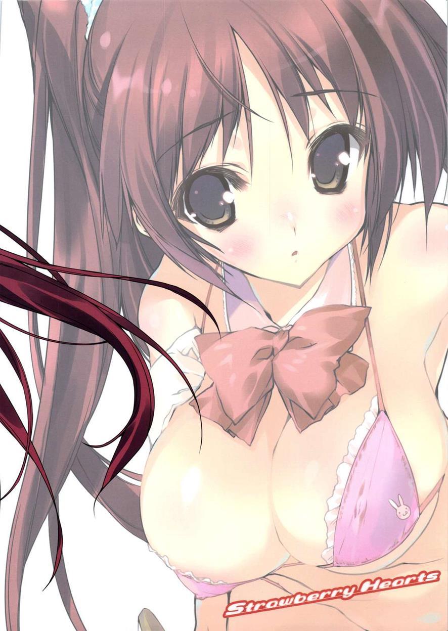 Strawberry Hearts To Heart2 Soushuuhen Plus 1