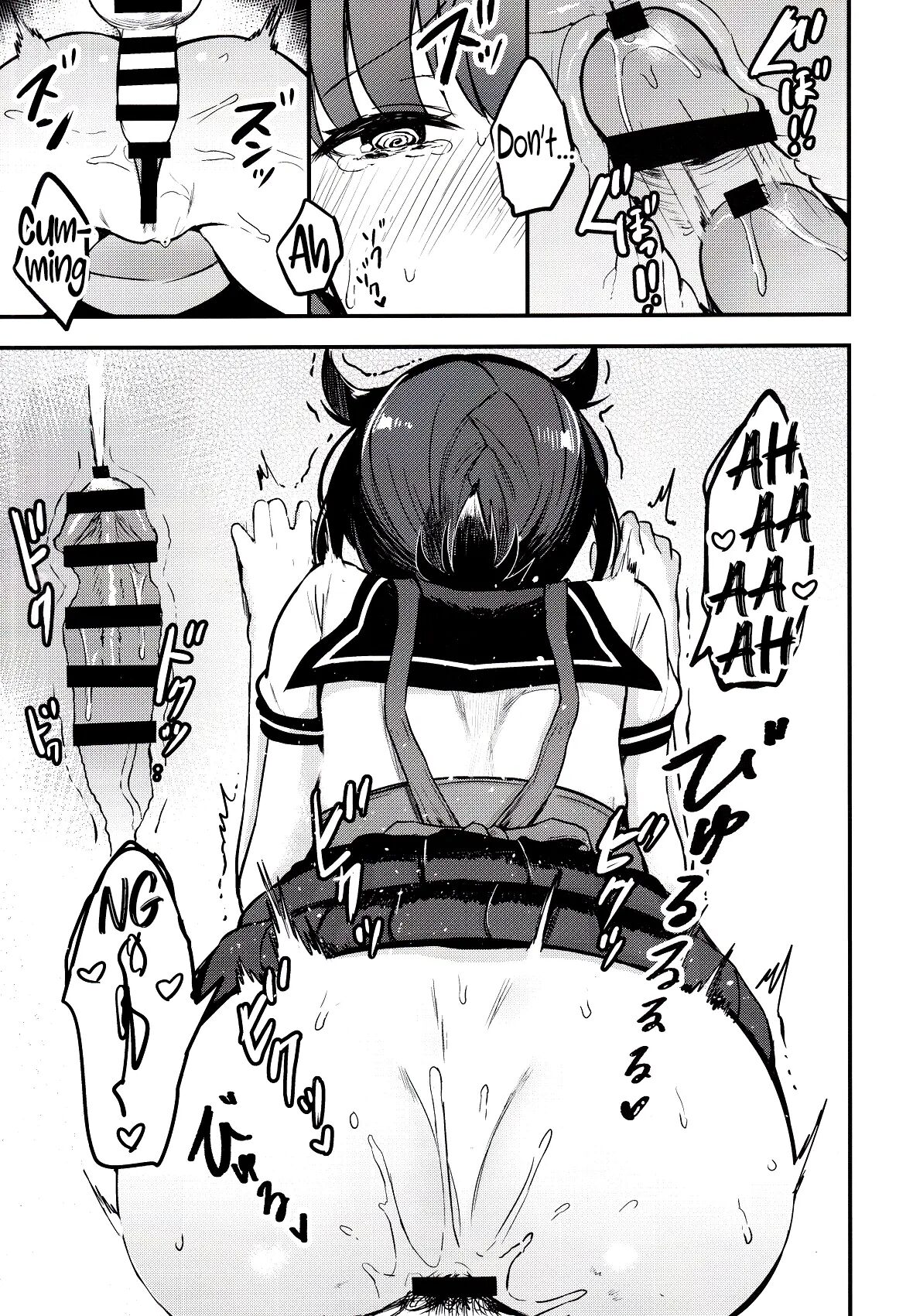 Summary (oniku) 1