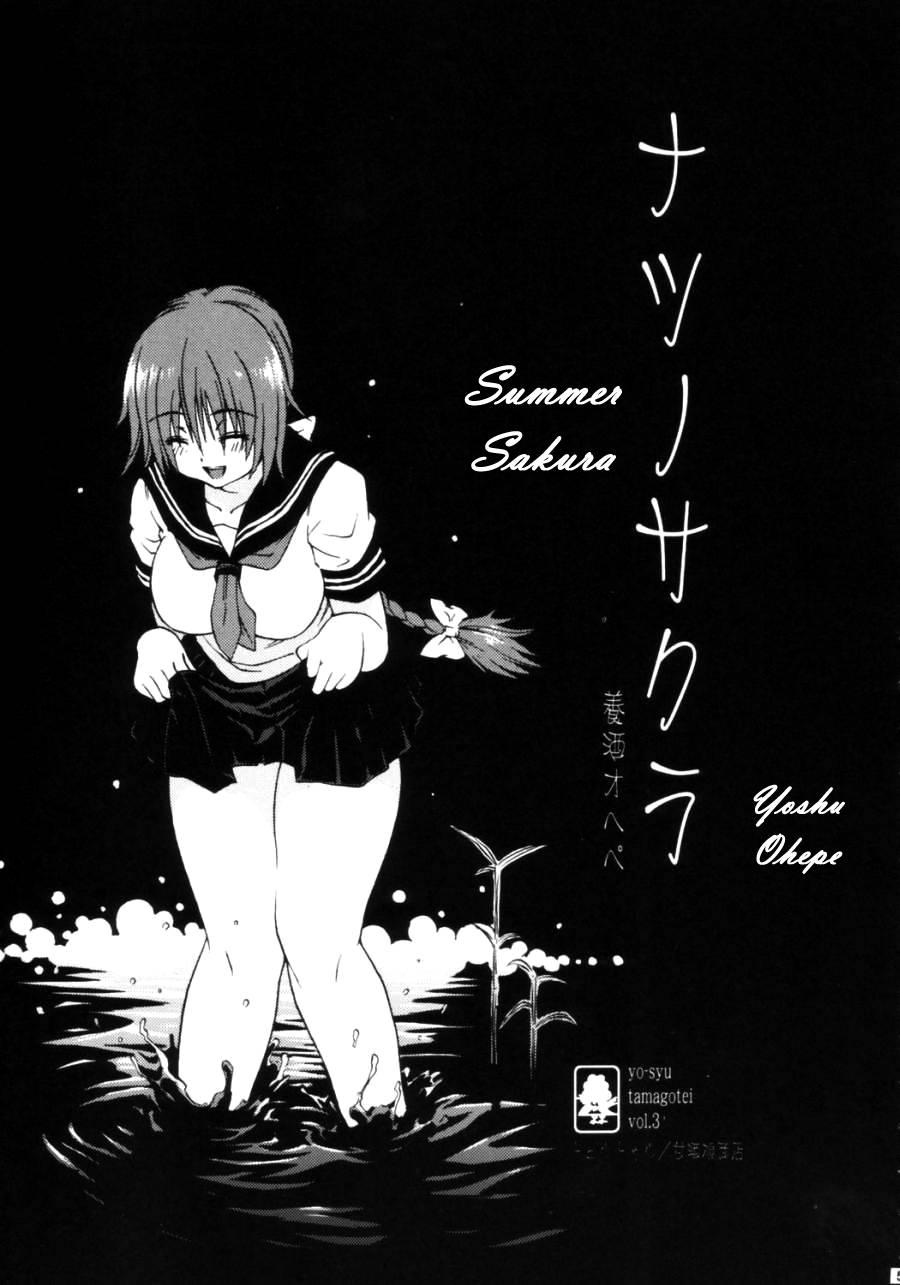 Summer Sakura 1
