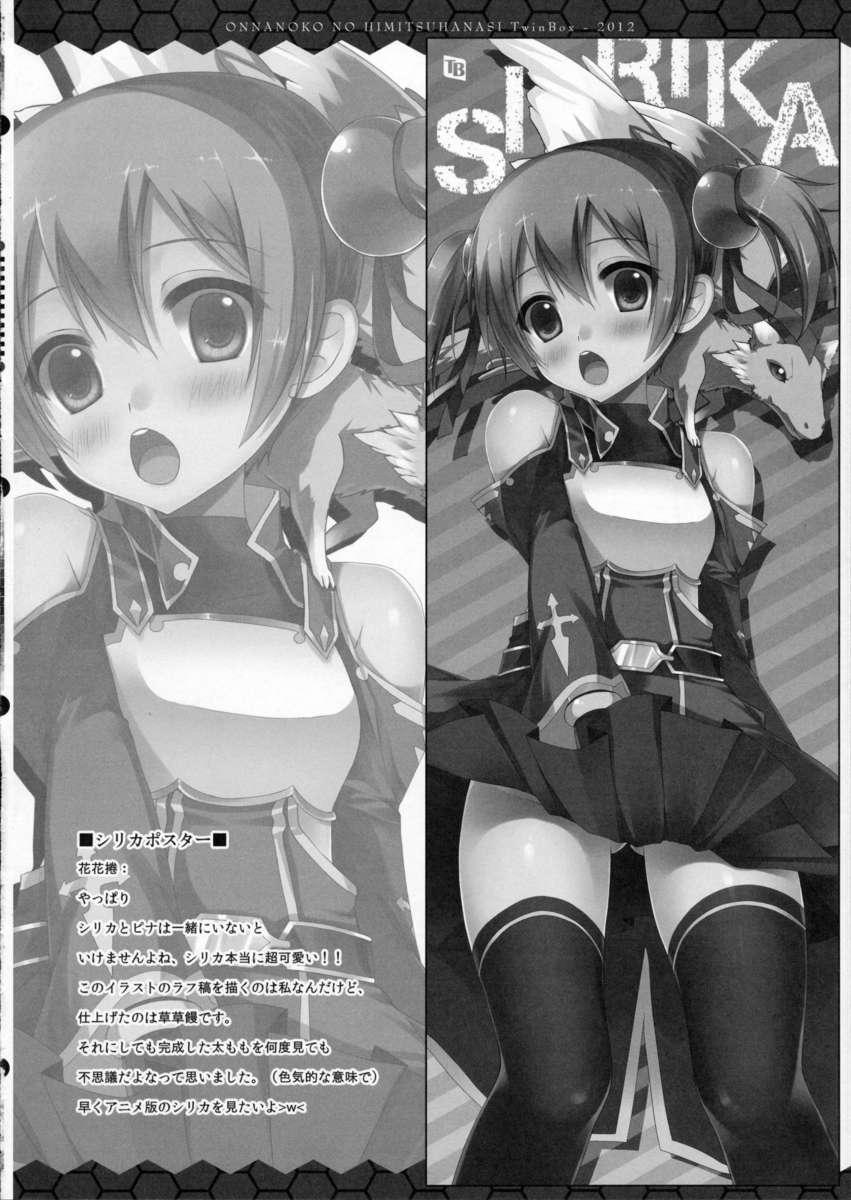Sword Art Online Dj - Onnanoko No Himitsubanashi 1