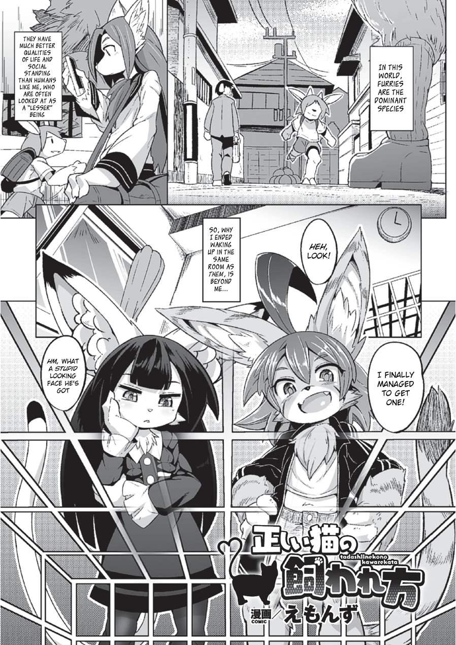 Tadashii Neko No Kawa Rekata 1