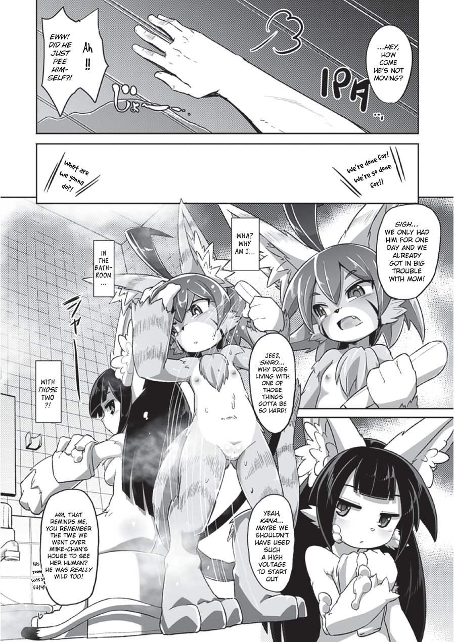 Tadashii Neko No Kawa Rekata 1