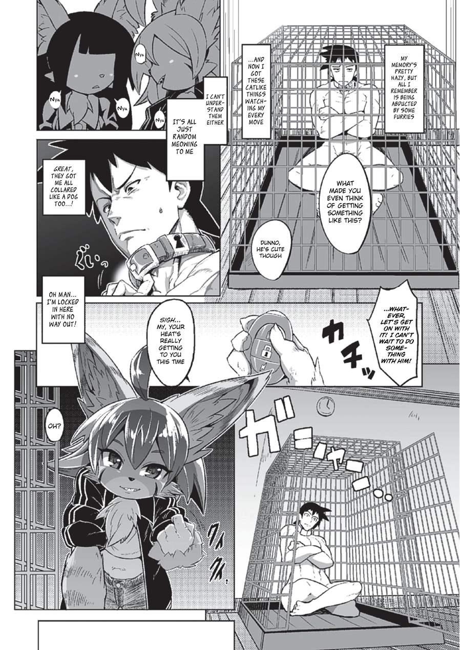 Tadashii Neko No Kawa Rekata 1