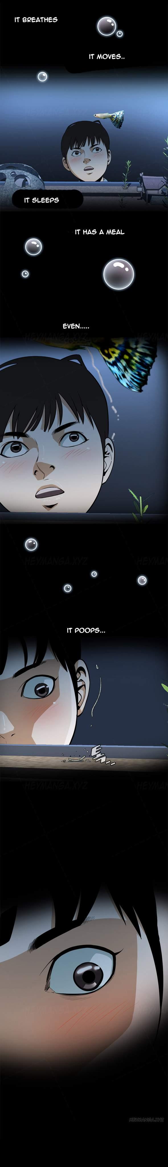 Take A Peek [korean] 1
