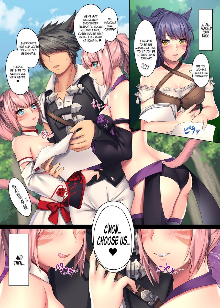 The Artbook Of Miqo'te!! 2