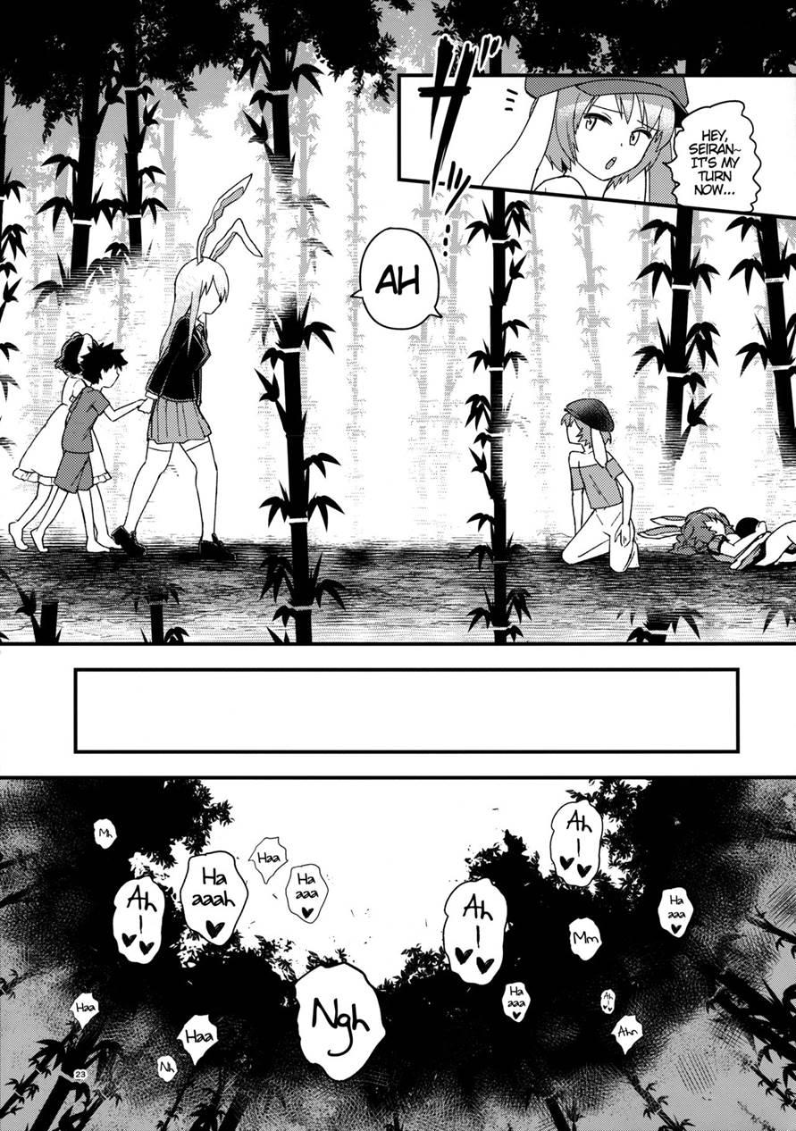 The Bunnies Won't Stop Hopping 1