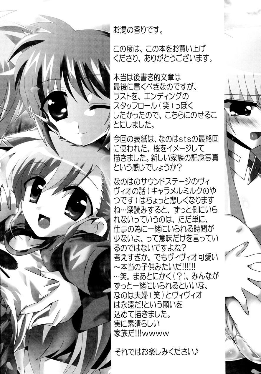 The Demon King Mom Nanoha's Strict Child Raising 1