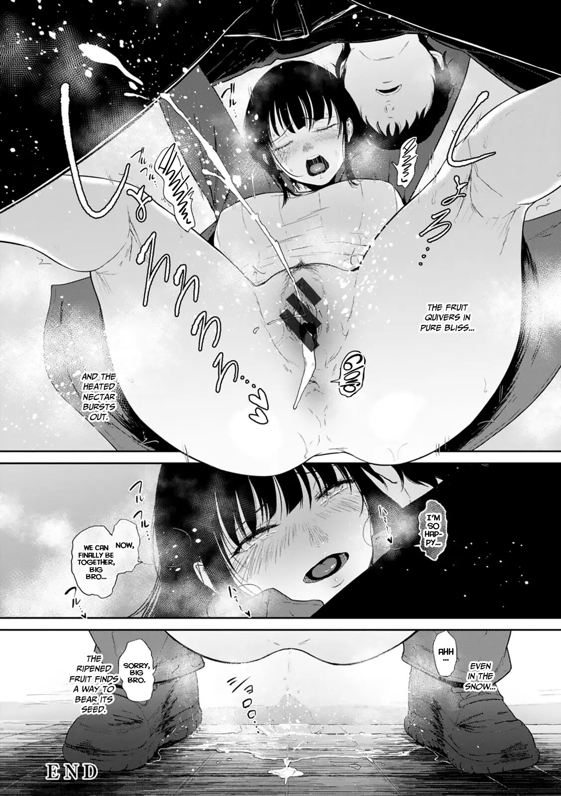 The Fruit Of Snow 1