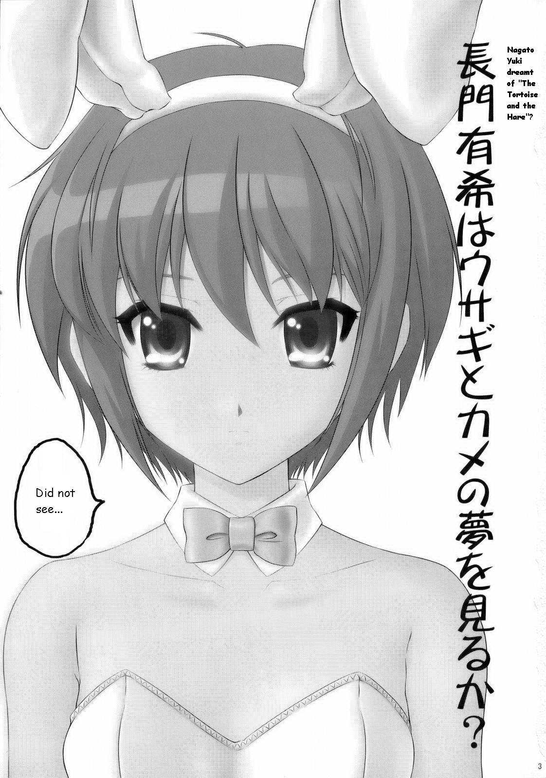 The Melancholy Of Haruhi Suzumiya Dj - Nagato Yuki Wa Usagi To Kame No Yume Wo Miru Ka? Chapter 1 Page 2