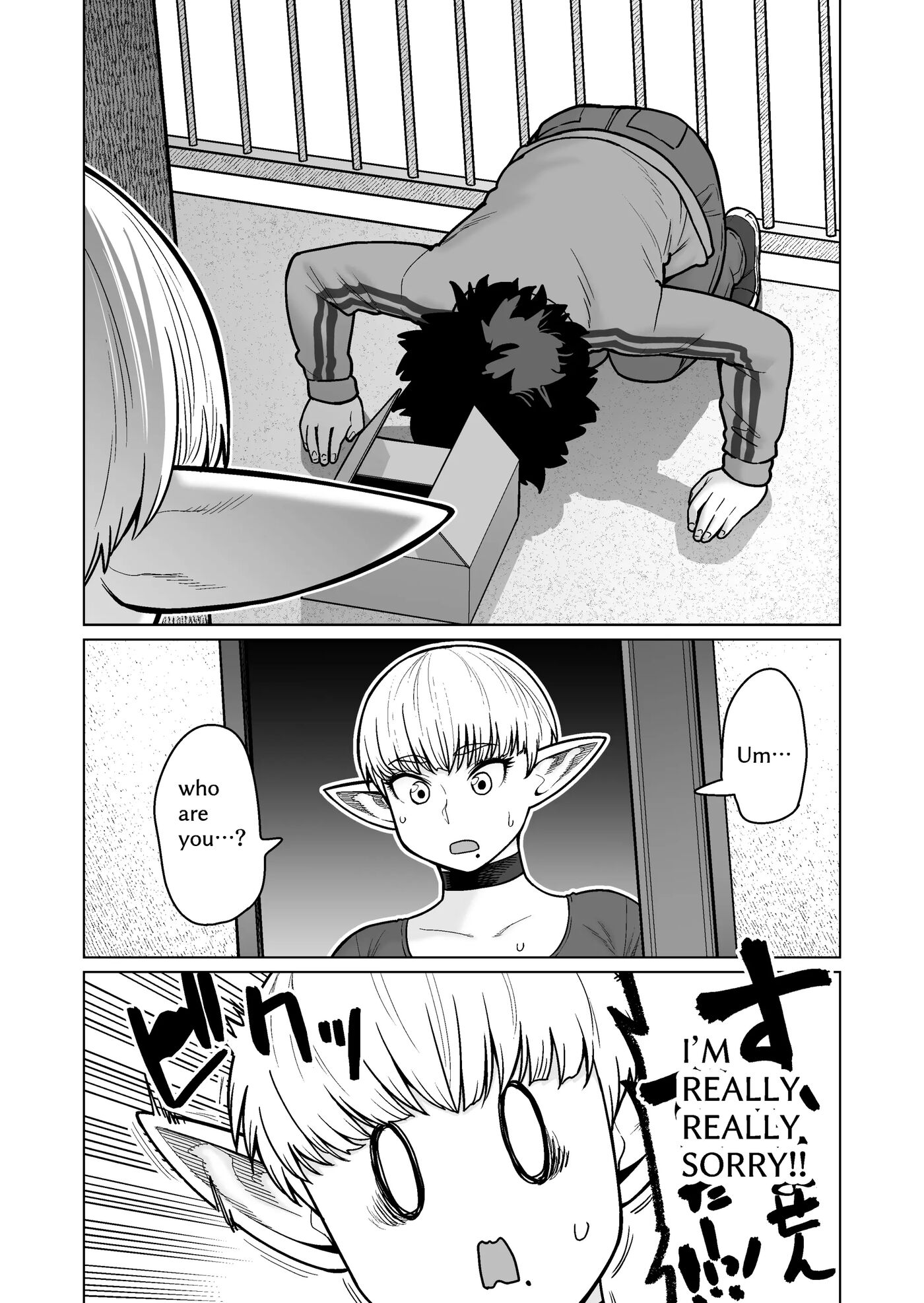 The Neighbor: Former Swordmaster Elf!! 1